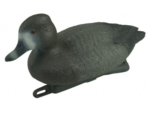 PATO PORRON - Imagen 2