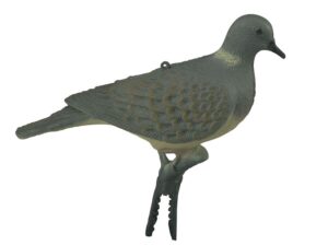 TORTOLA