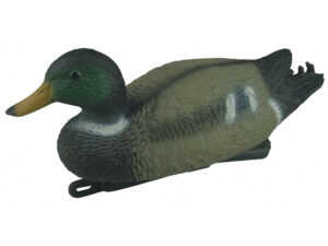 PATO COMUN