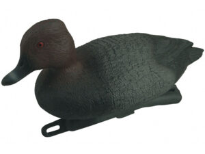 PATO PORRON