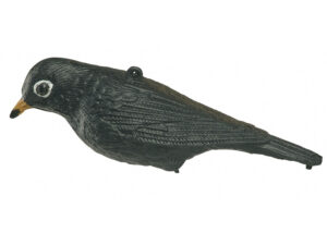 TORDO NEGRO