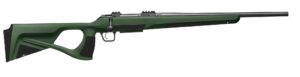 RIFLES