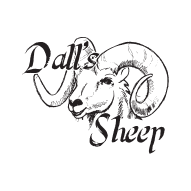 DALL´S SHEEP